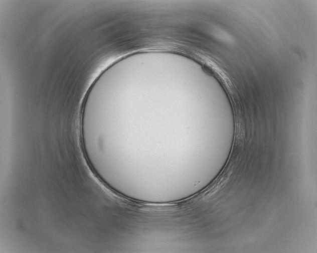 X0000115771487200912111056