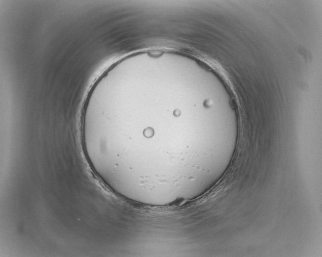 X0000115771488200912111056