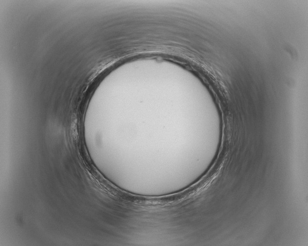 X0000115771497200912111055