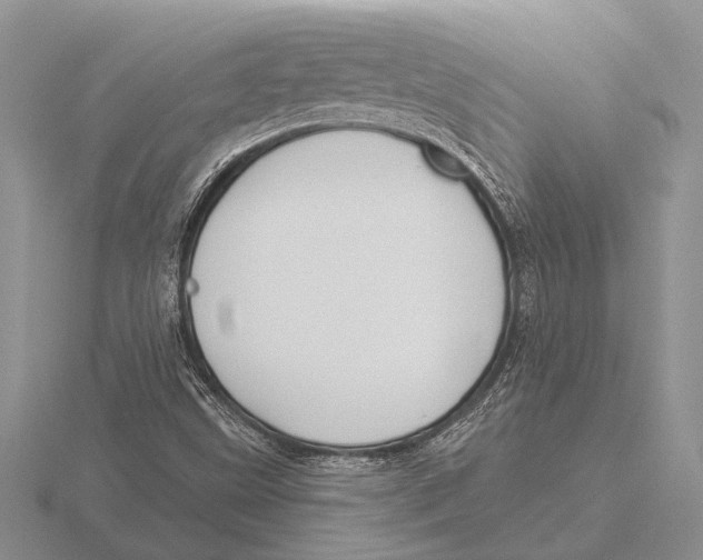 X0000115771499200912111055