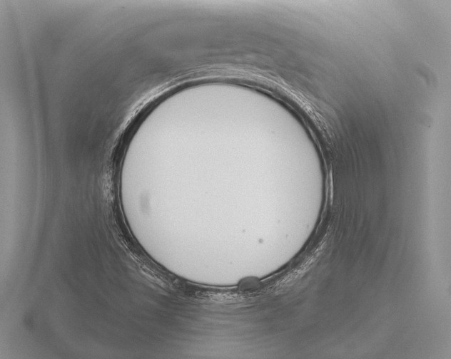 X0000115771501200912111055