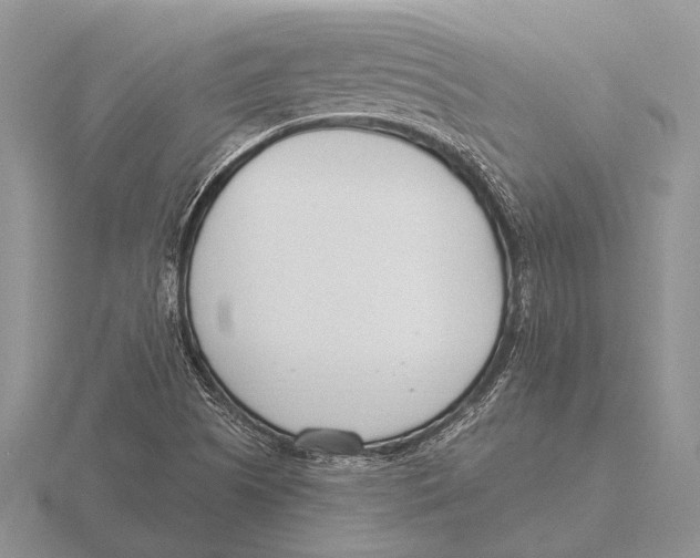 X0000115771505200912111055