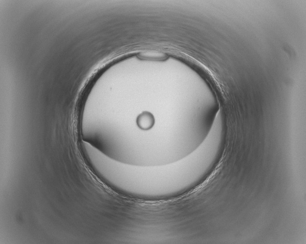 X0000115771506200912111055