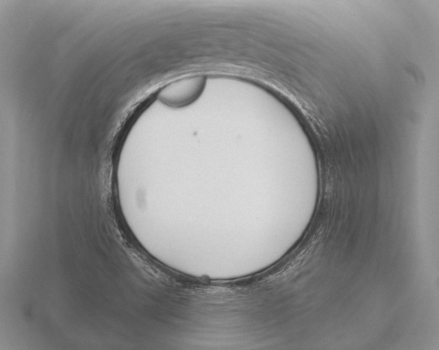 X0000115771507200912111055