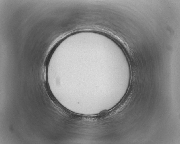 X0000115771509200912111055