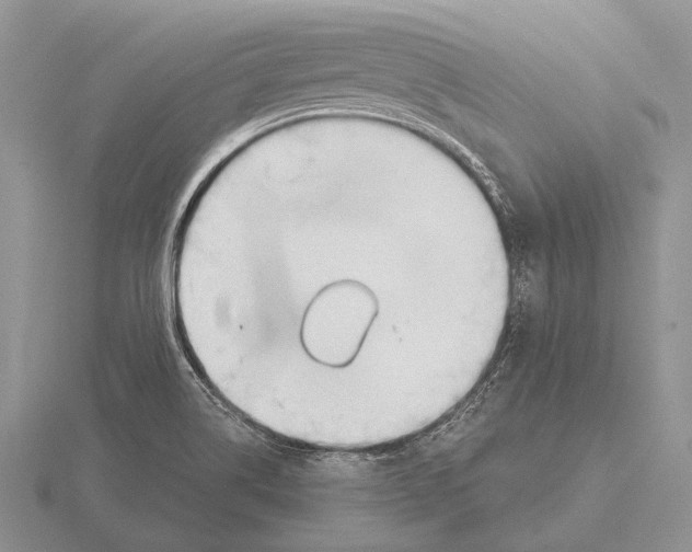 X0000115771514200912111055