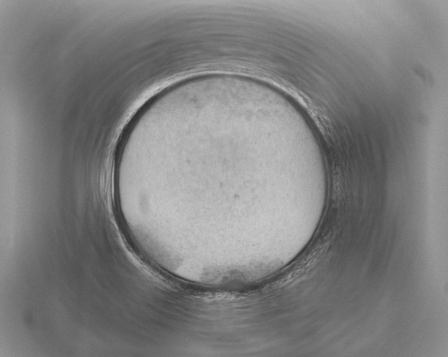 X0000115771515200912111055