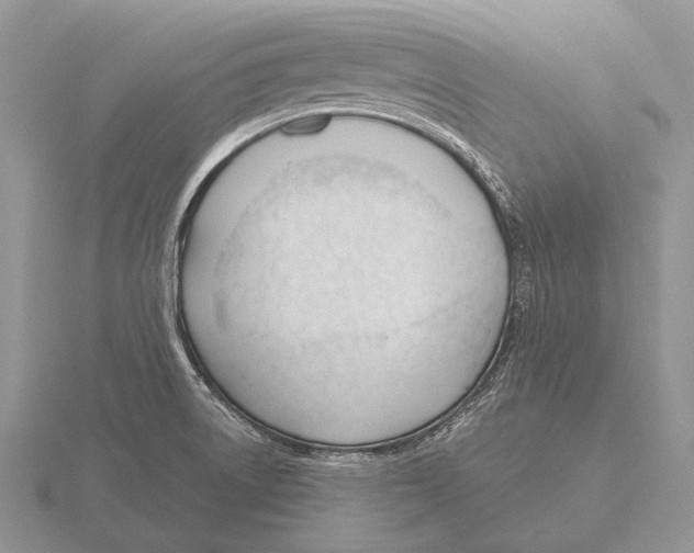 X0000115771522200912111055