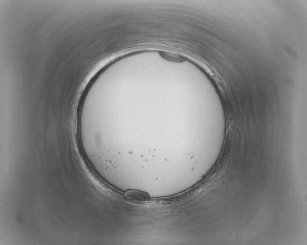 X0000115771523200912111055