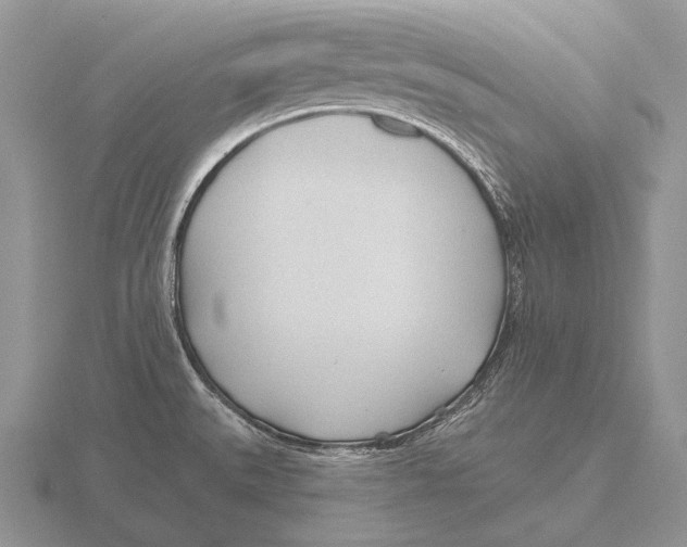 X0000115771527200912111056