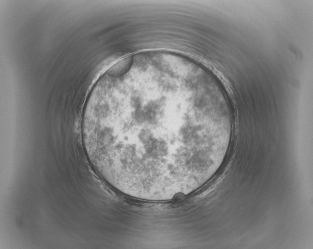 X0000115771529200912111056