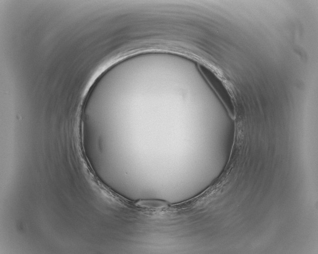 X0000115771530200912111056