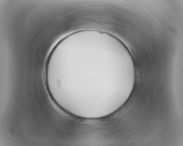 X0000115771531200912111056