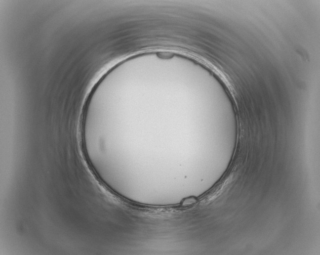 X0000115771533200912111056