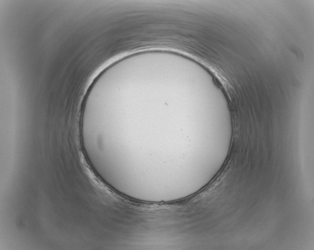 X0000115771534200912111056