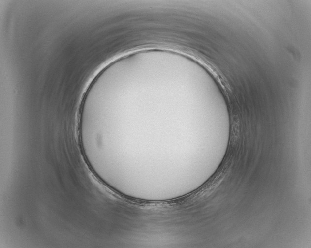 X0000115771535200912111056