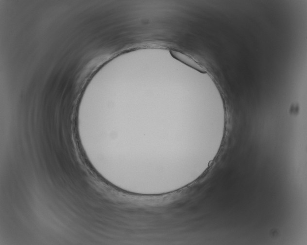 X0000115770001200912241759