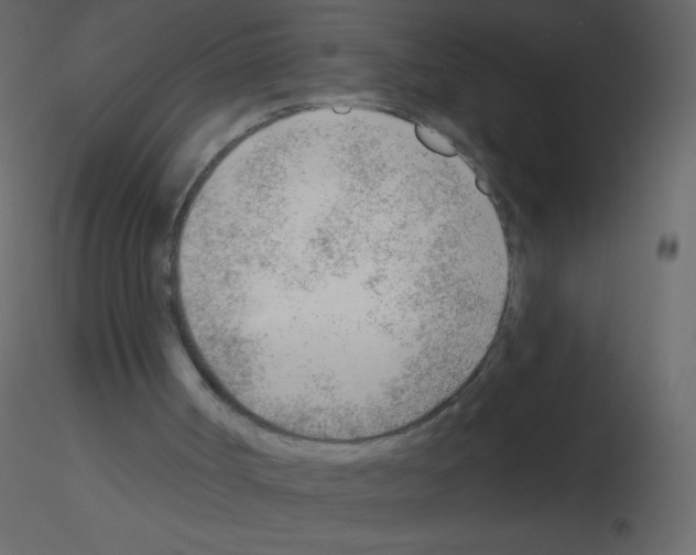 X0000115770002200912241759