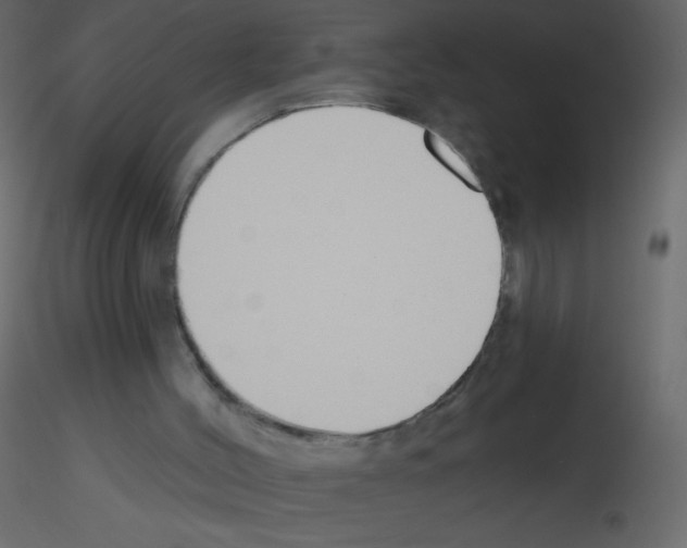 X0000115770004200912241759