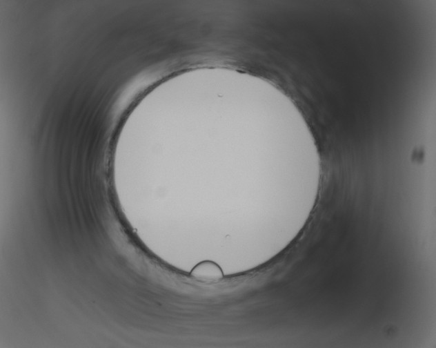 X0000115770006200912241759