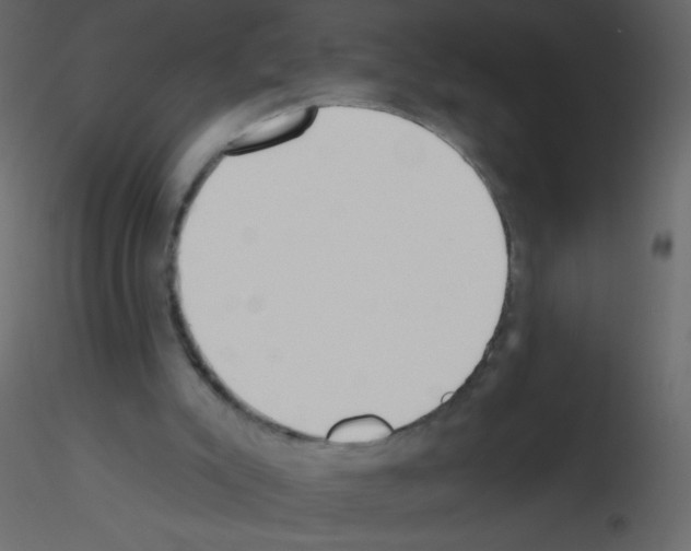 X0000115770007200912241759