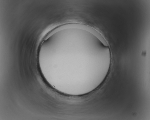 X0000115770008200912241759