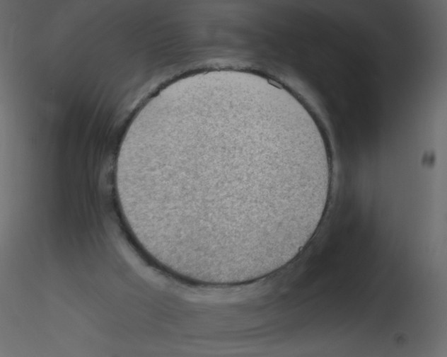 X0000115770009200912241759