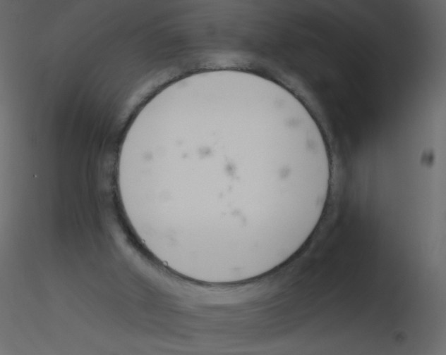 X0000115770010200912241759