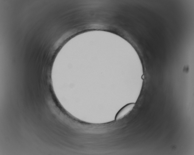 X0000115770011200912241759