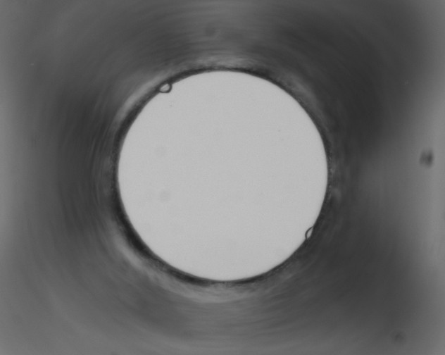 X0000115770012200912241759