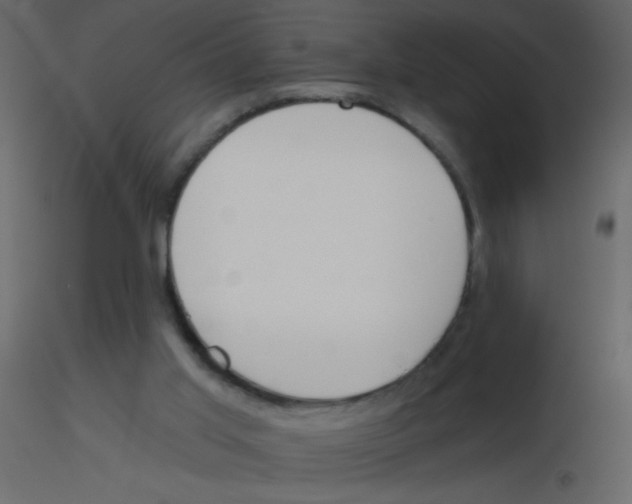 X0000115770013200912241759