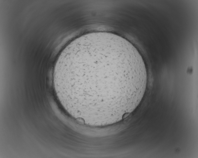 X0000115770014200912241759