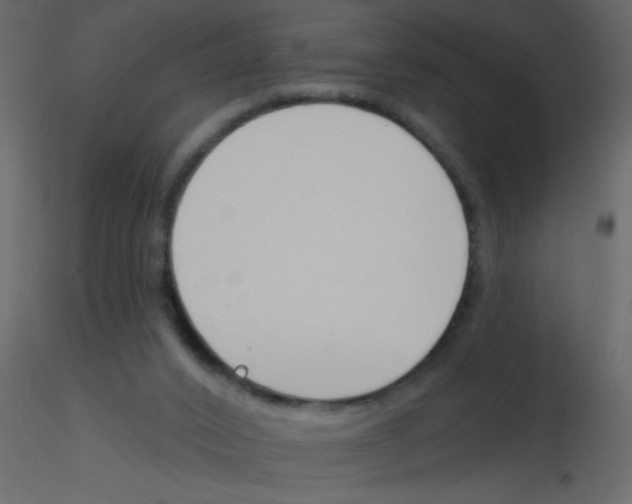 X0000115770016200912241759