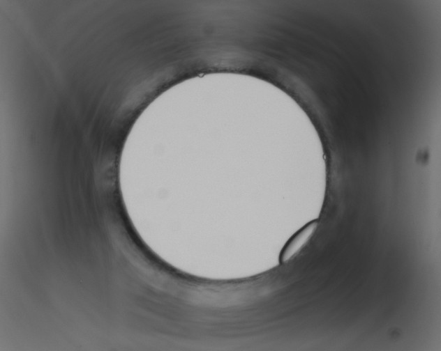 X0000115770017200912241759