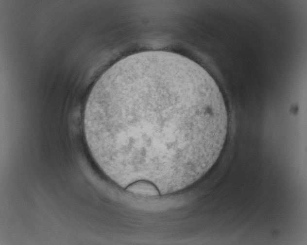 X0000115770018200912241759