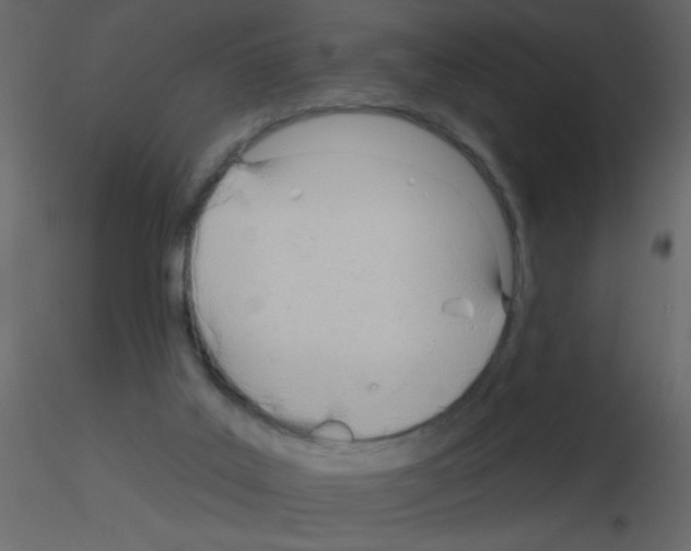 X0000115770019200912241759