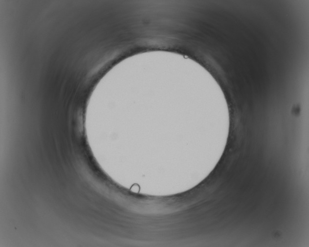 X0000115770020200912241759