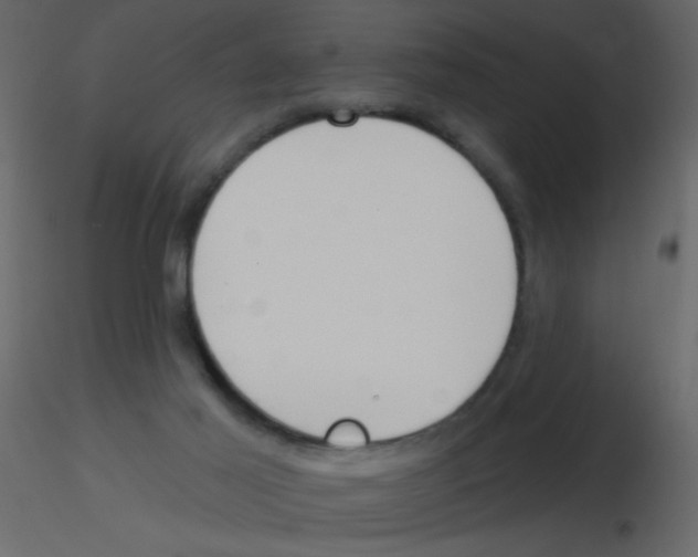 X0000115770021200912241759