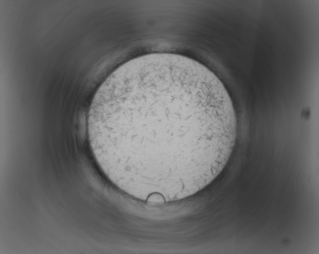 X0000115770022200912241759