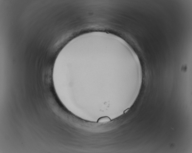 X0000115770023200912241759