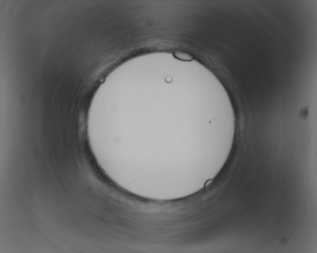 X0000115770024200912241759