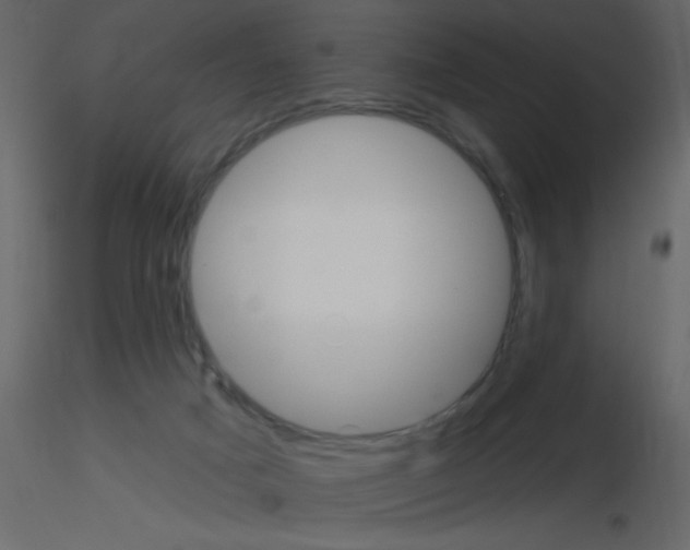 X0000115770025200912241759