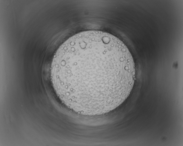 X0000115770026200912241759