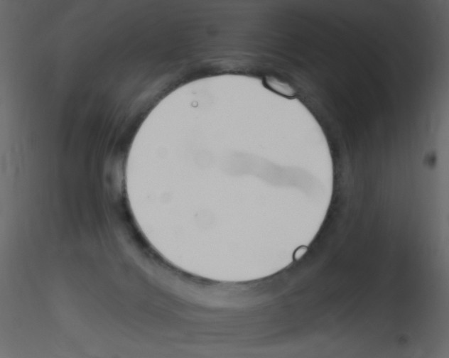 X0000115770028200912241759