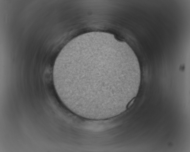 X0000115770029200912241759
