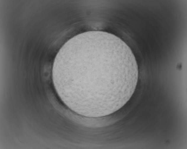 X0000115770030200912241759