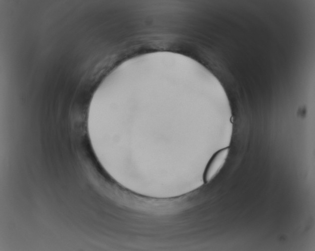 X0000115770031200912241759