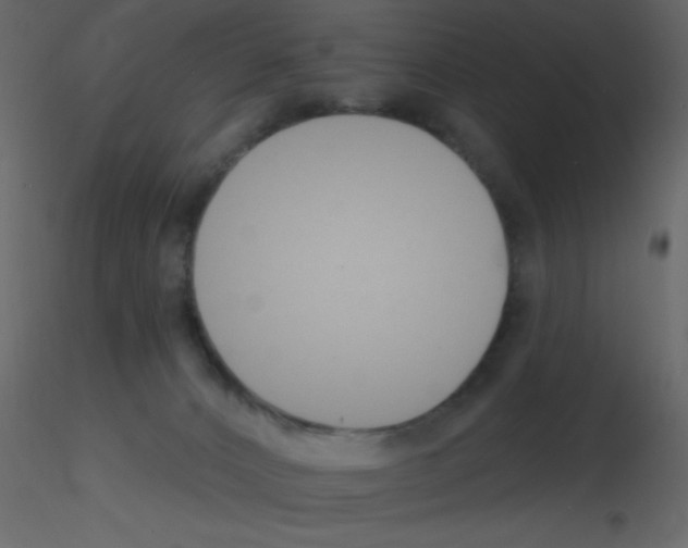 X0000115770032200912241759