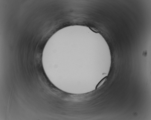 X0000115770033200912241759