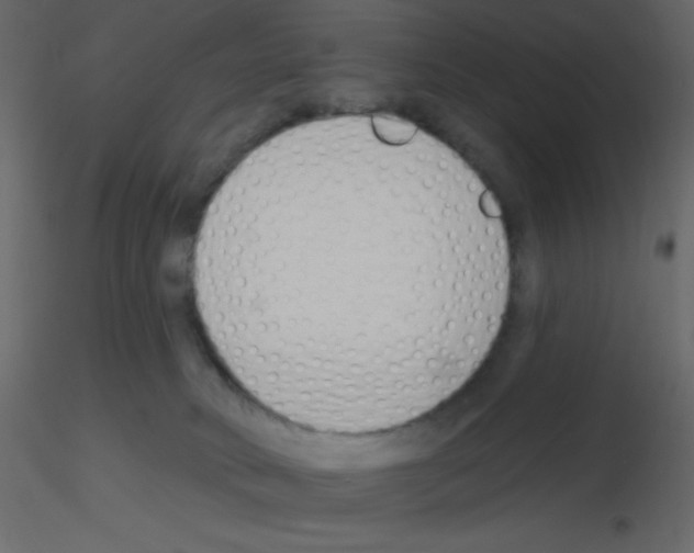 X0000115770034200912241759